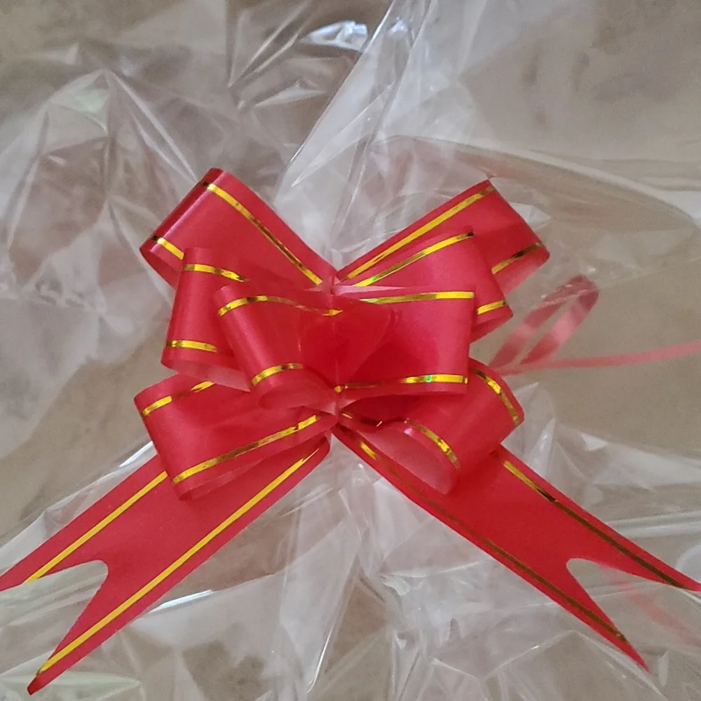Clear Gift/Storage Bag with Red Ribbon nwot
